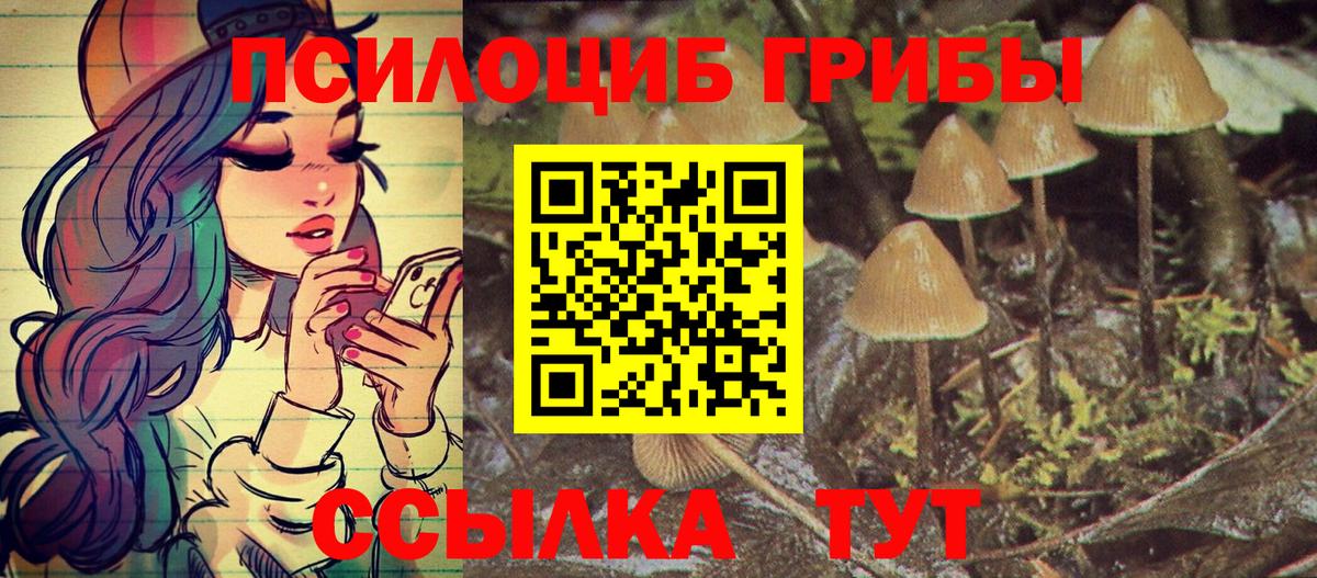 Псилоцибиновые грибы Psilocybine cubensis Ухта