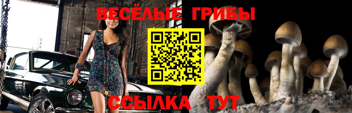 Галлюциногенные грибы GOLDEN TEACHER  продажа наркотиков  Ухта  Галлюциногенные грибы Psilocybine cubensis  Вход с VPN 